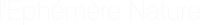 logo-white